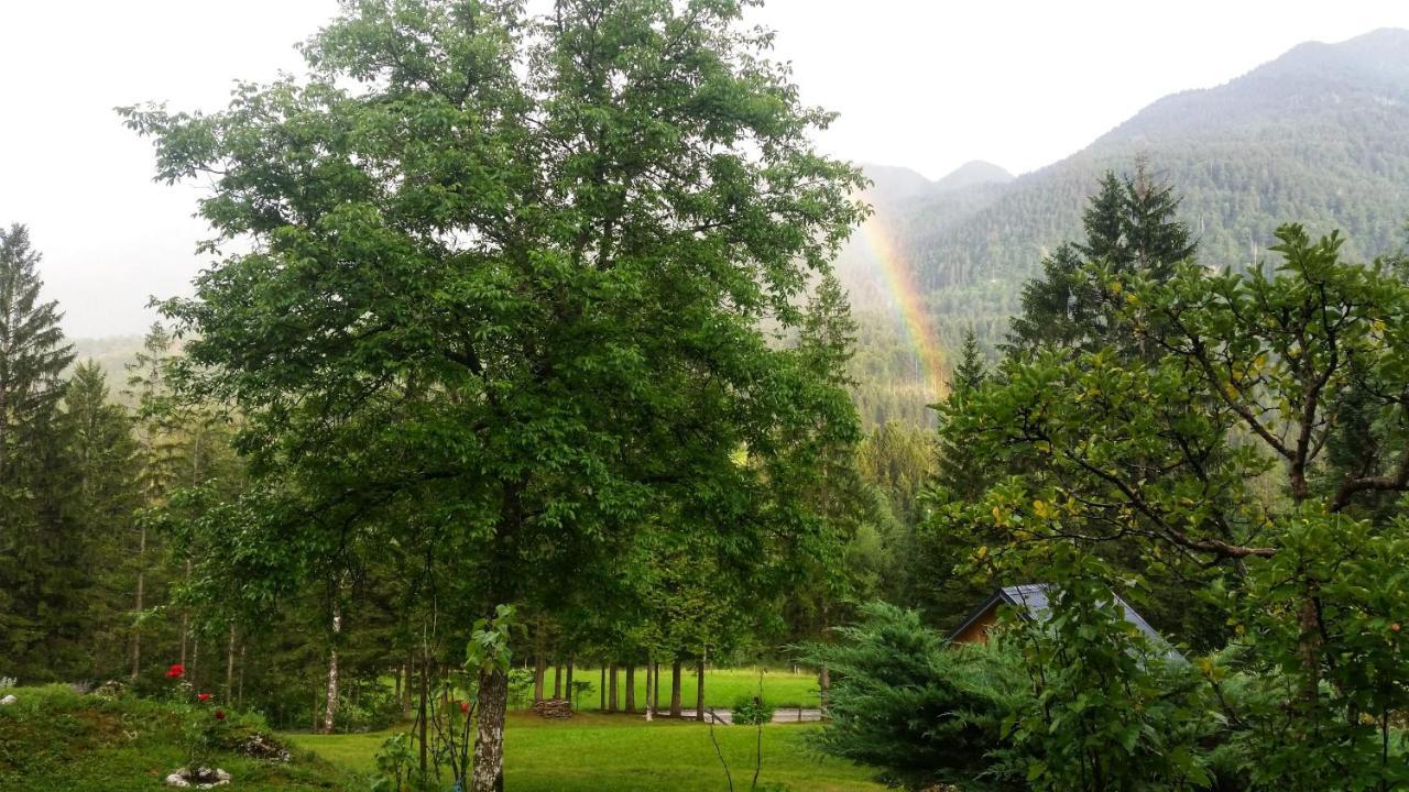 Pocitniska Hisa Eros Villa Bohinj Exteriör bild