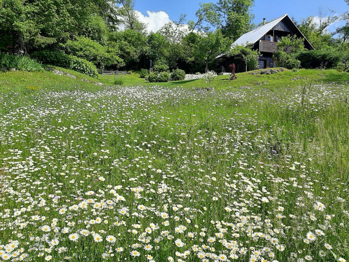 Pocitniska Hisa Eros Villa Bohinj Exteriör bild